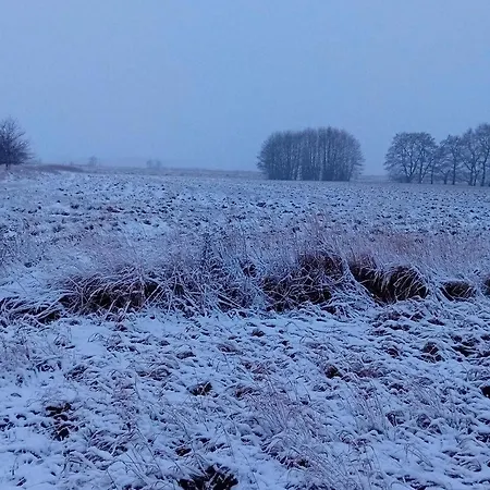 Wiesenblick *
