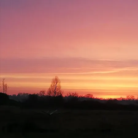 Wiesenblick