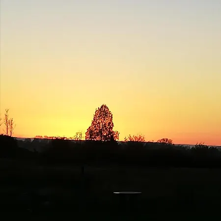 Apartment Wiesenblick *