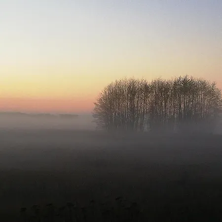 Wiesenblick Trassenheide